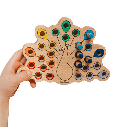 color sorting toy