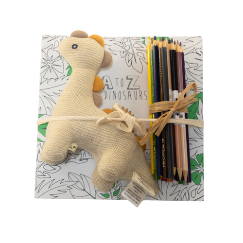 Three Year Old Birthday Gift Set - Dino Lover