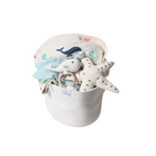 Ocean Baby Gift Basket - Aquatic Adventure