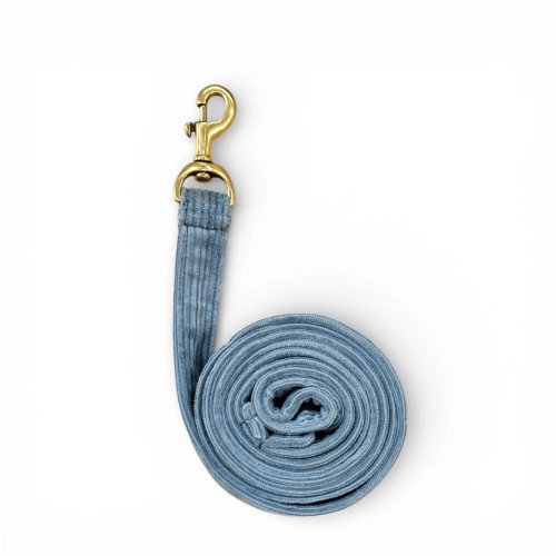 Modern Dog Leash