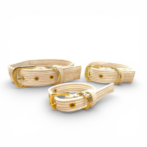 Chunky Organic Corduroy Dog Collar - White