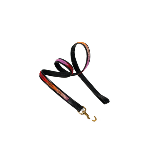 Handcrafted Leather Leash - Ombre