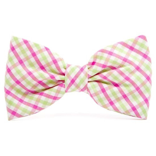 Pink and Green Bow Tie for Small Dogs