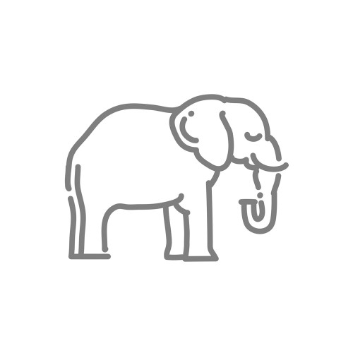 Elephant Orphanage