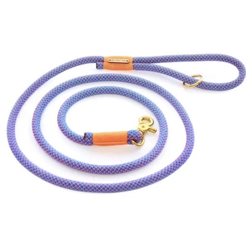 Neon Purple Dog Leash