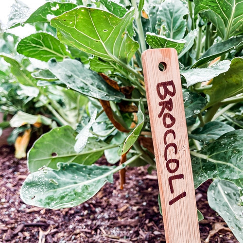 Bamboo Plant Stakes Wooden Garden Labels