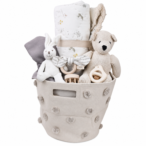 Organic Baby Gift Basket - Newborn - Tummy Time