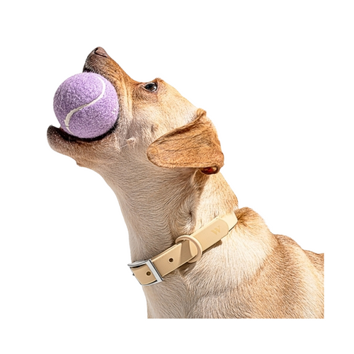 Eco-Friendly Dog Toy - Tennis Ball, Purple