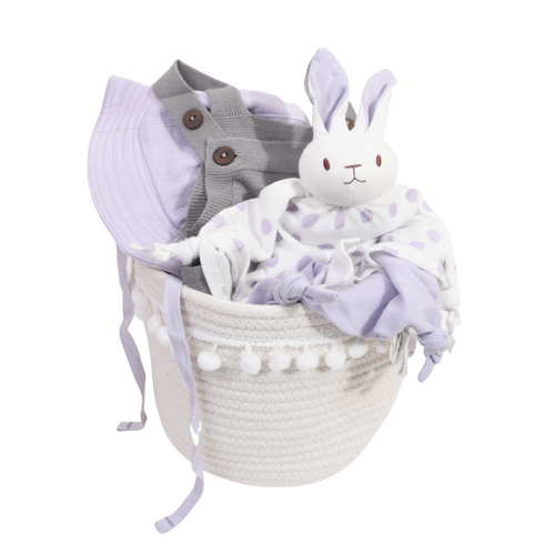 Baby Girl Gift Basket - Silver Lining