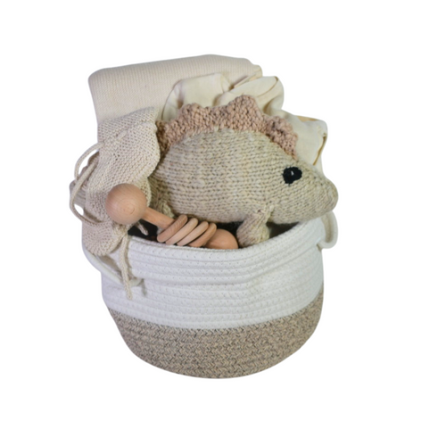 Dinosaur Baby Gift Basket - A Big Deal
