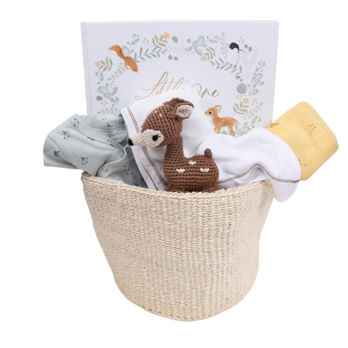 Newborn Baby Gift Basket - Just Arrived