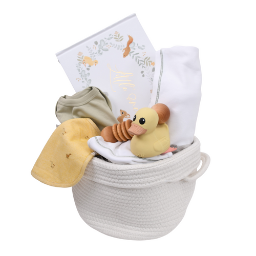 Newborn Gift Basket