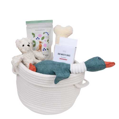 Dog Gift Basket - Walk in the Woods