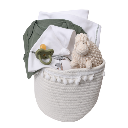 Organic Baby Gift Basket