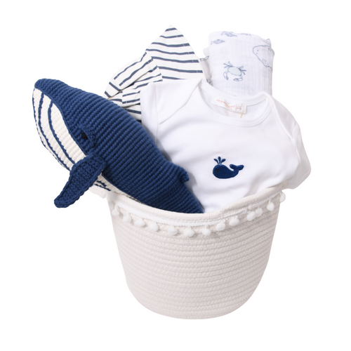 Baby Gift Basket