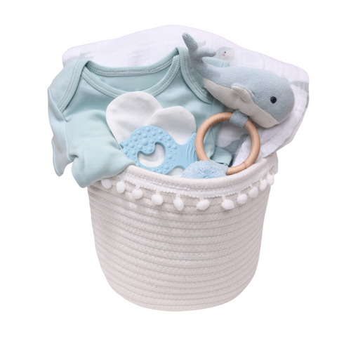 Cute Baby Gift Basket for Boy