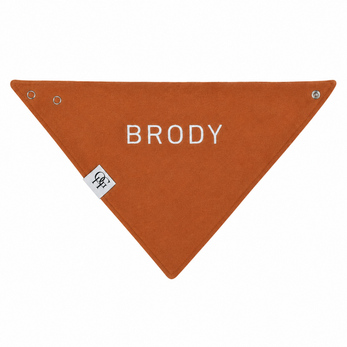 Organic Dog Bandana - Burnt Orange