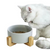 Ceramic Pet Bowl with Stand Dog or Cat - White