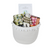 Holiday Gift Basket - Festive Faves Holiday Gift Basket - Festive Faves