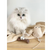 Modern Cat Toy Natural - Mouse with Catnip Modern Cat Toy Natural - Mouse with Catnip