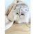 Personalized Dog or Cat Blanket Organic - Embroidered Name
