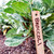 Gardening Gift Basket - Garden Retreat Gardening Gift Basket - Garden Retreat
