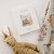 Luxury Organic Baby Gift - Goose Goes to Market