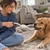 Extra Durable Double Tug Toy for Dogs