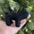 Felt Wool Tree Ornament - Black Bear