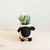 Sheep Planter - for Home