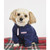 Vineyard Vines Pet Sweatshirt
