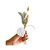 Get Well Gift Basket - Tea & Cookies Get Well Gift Basket - Tea & Cookies