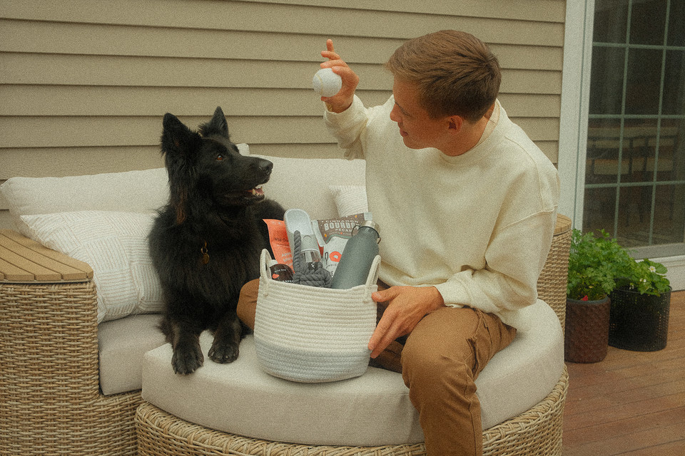 How to Choose the Perfect Dog Gift Basket: A Pet Owner's Guide