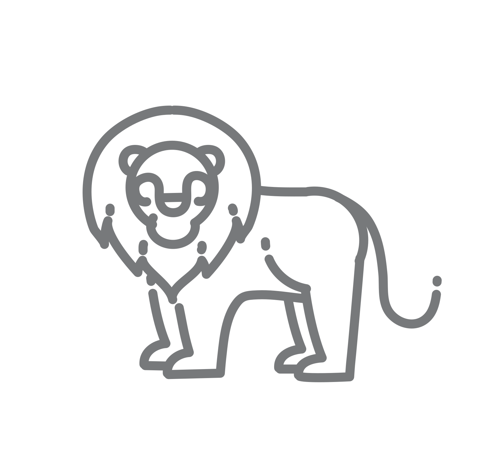 lionicon