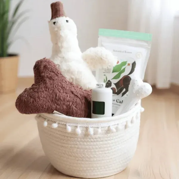Our Green House gift basket lifestyle photo