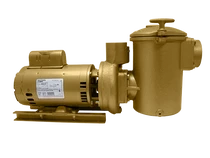 Aqua-Flo AC-Series Bronze Pump