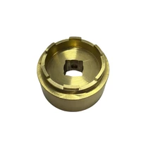 MicroBrite Pool Light Removal Tool V50-999-1