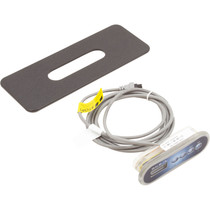 Balboa BP100 Control System with 4.0kW Heater and TP200T Panel