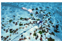 Polaris Vac-Sweep 380 Automatic Pool Cleaner