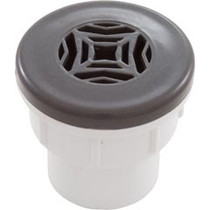 Spa Drain (2-5/16In Tex Face;1In S) Gpgy