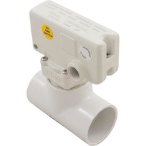 Flow Switch, Grid Controls M-310, 10A, 2"s