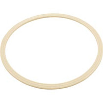 Flat Gasket -Dyna Flo Skim Filter