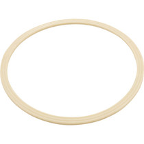 Flat Gasket -Dyna Flo Skim Filter