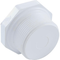 Plug, Pentair Sta-Rite S7D75/S8D110, 1-1/2"