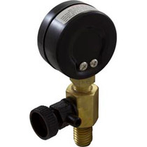 Pressure Gauge/Air Release Assy, Jandy CV Series,BM, Generic