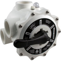 Multiport Valve, Praher SM-20-3, 2" FPT, Sand