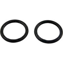 Piston Assembly, Pentair American Products ABS 2" Valve Piston Assembly, Pentair American Products ABS 2" Valve