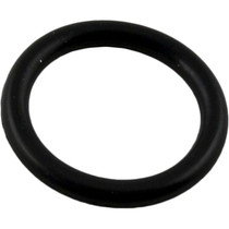 O-Ring, Waterco 2" Top/Side Mount Valves, Spring