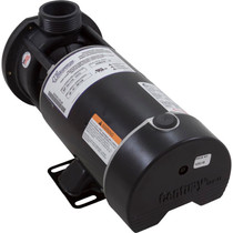 Pump, WW E-Series, 0.75hp, 115v, 2-Spd, 48fr, 1-1/2", OEM