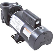 Pump,WW Hi-Flo,3.0hp,230v,2-Spd,48fr,2",OEM